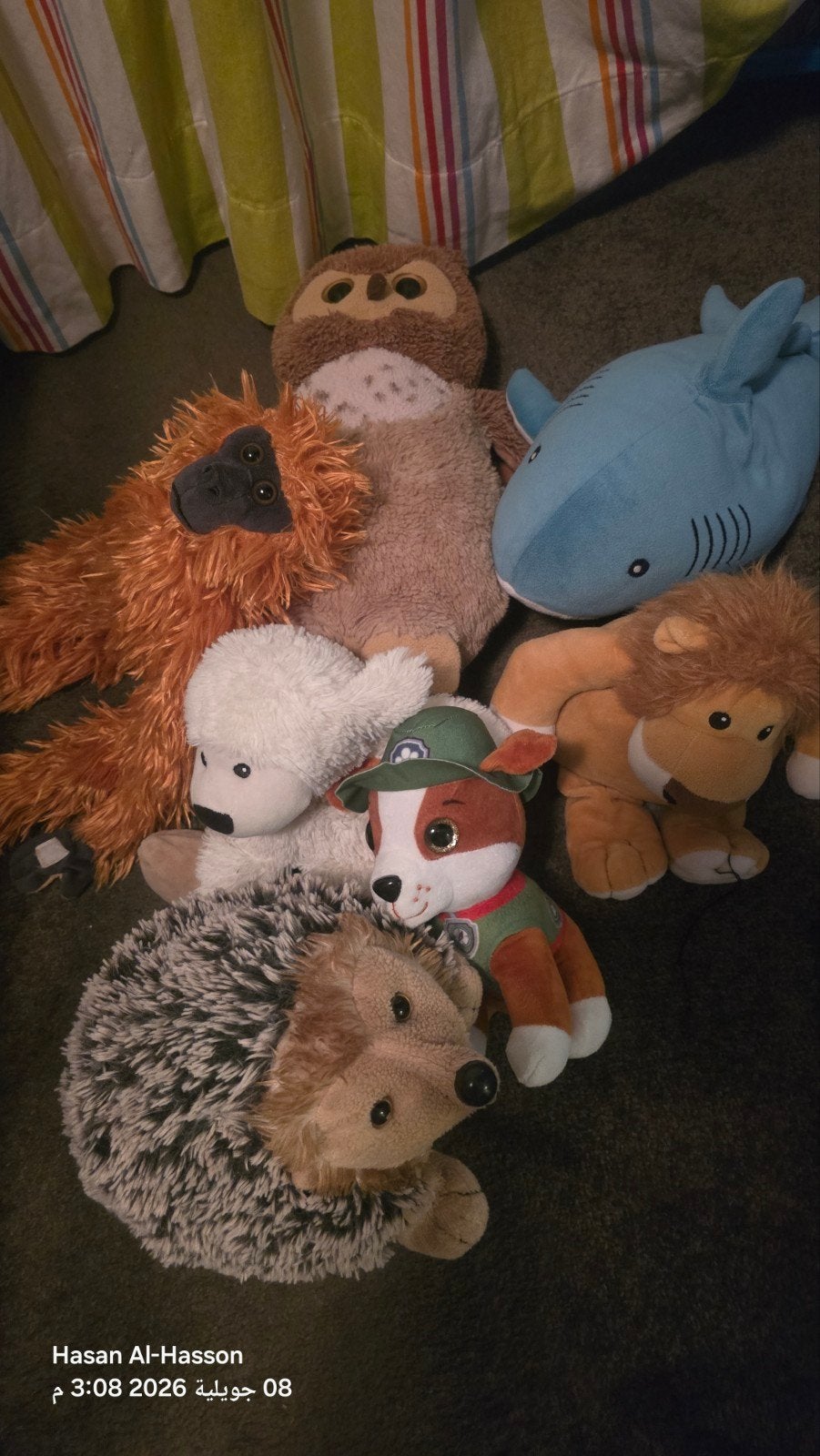 Diverse knuffels: haai, uil, aap, leeuw, hond, egel, poedel, Gebruikt, Middelgroot (20 tot 80 cm), Bruin, Hond