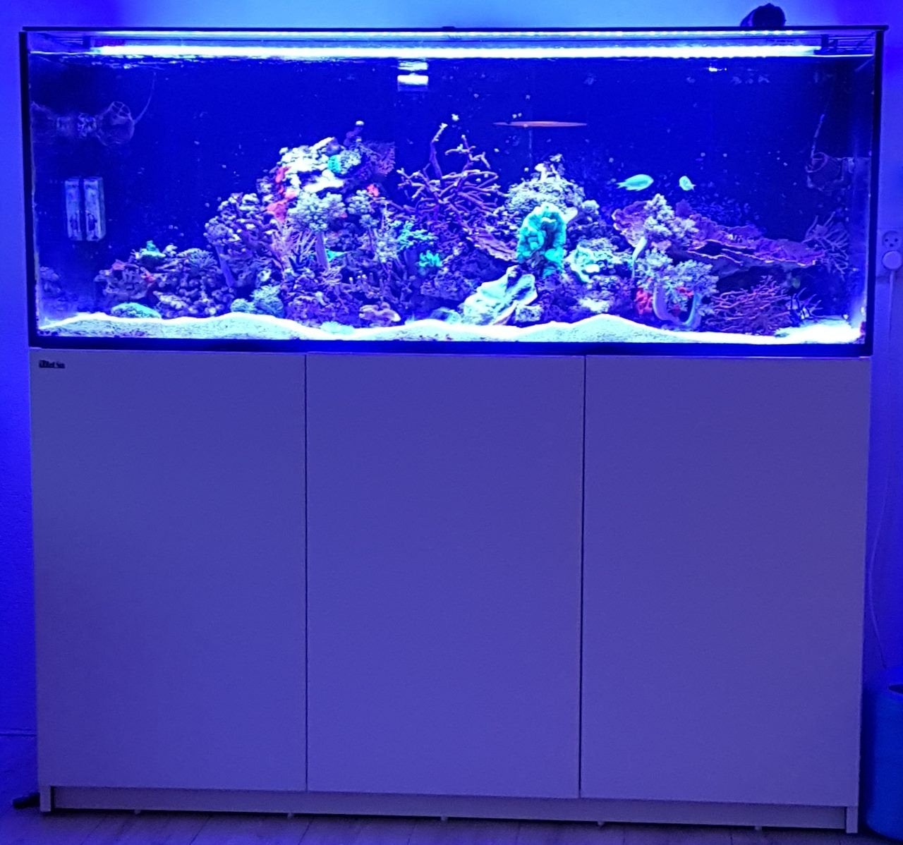 Eheim Marine Actinic 2x en 1x Bleu led + controller, Ophalen, Gebruikt, Verlichting of Verwarming, Inclusief controller