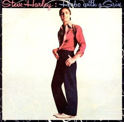 Steve Harley – Hobo With A Grin 1978 pop rock, LP, Gebruikt, Originele persing, Ophalen of Verzenden