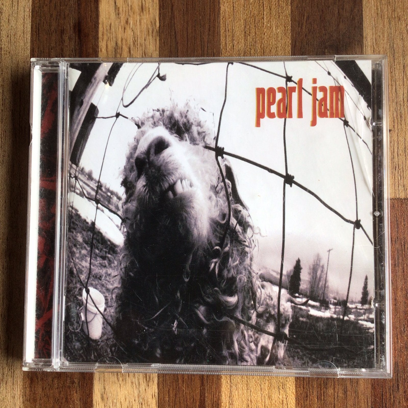 Pearl Jam, Ophalen of Verzenden, Zo goed als nieuw