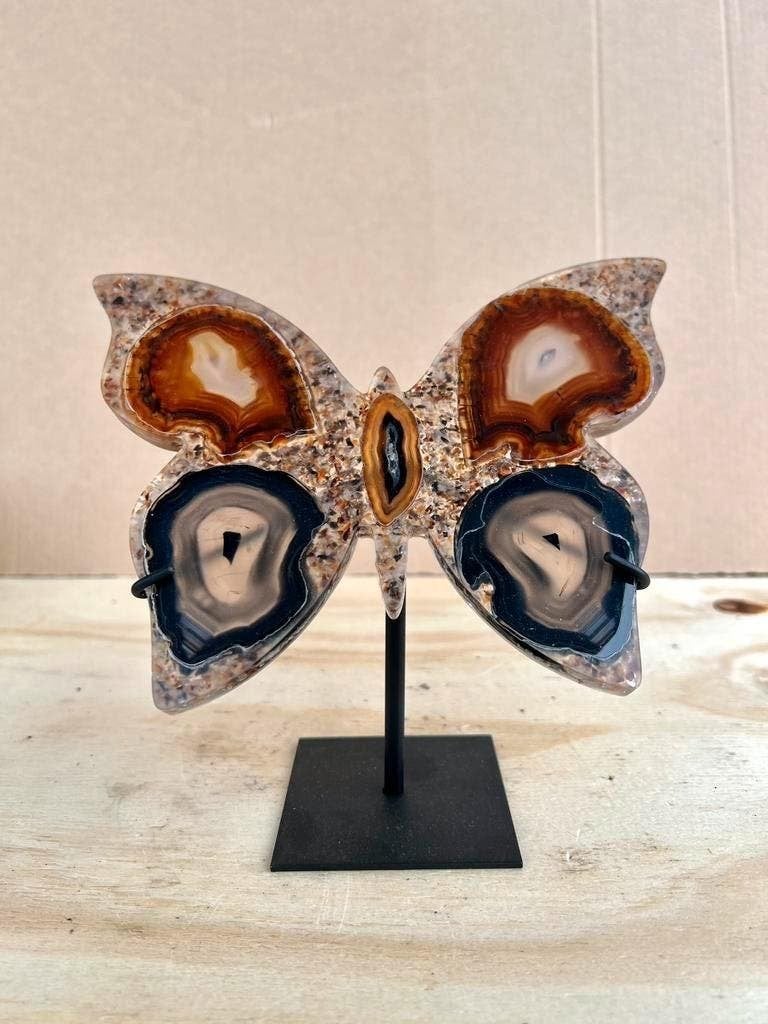 Agaat druzy Vlinder in hars