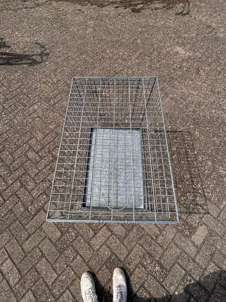 Honden benz, Ophalen, Zo goed als nieuw