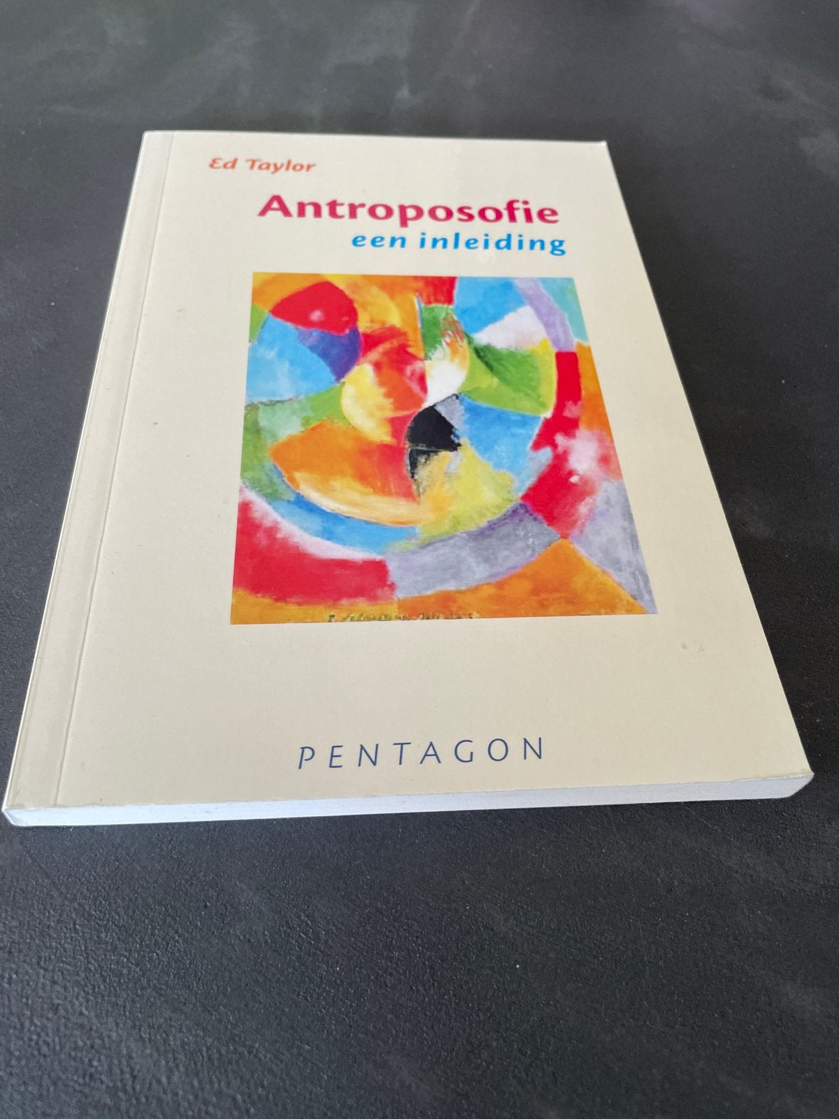 Ed Taylor - Antroposofie, Boeken, Ed Taylor, Sociale wetenschap, Ophalen of Verzenden, Zo goed als nieuw