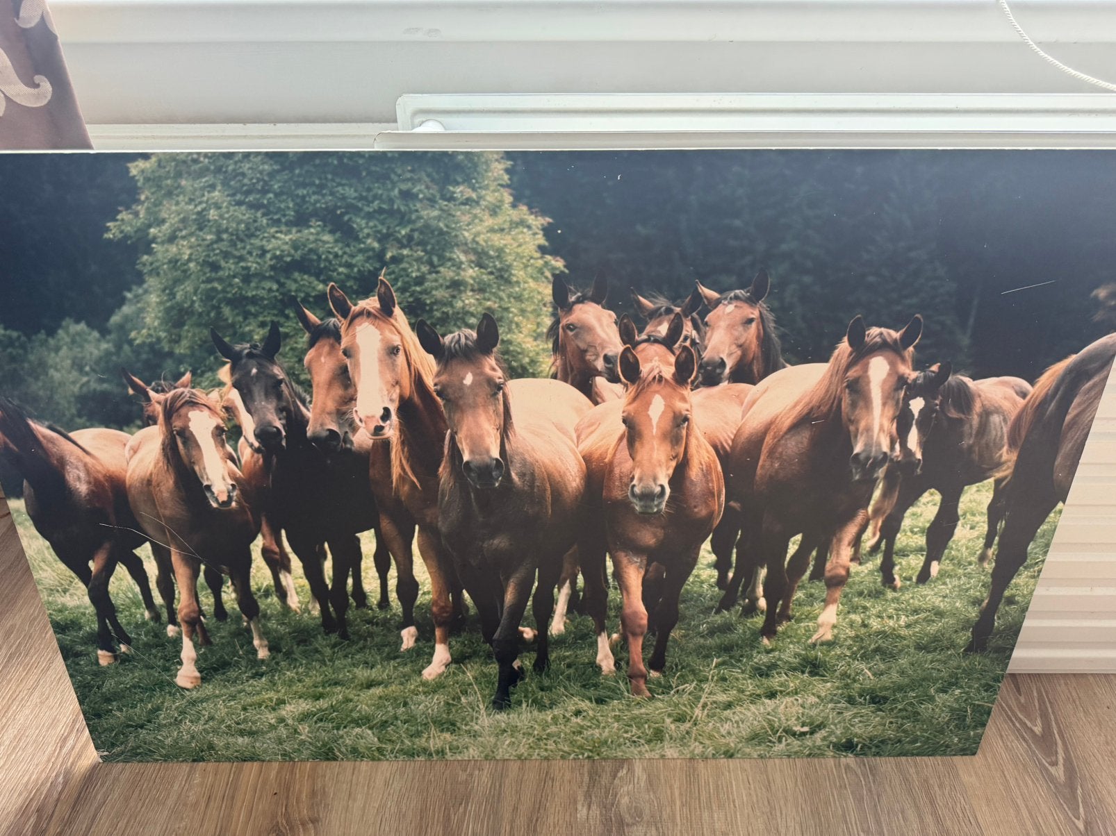 Photo, Huis en Inrichting, Ophalen of Verzenden, Zo goed als nieuw, Minder dan 50 cm, Schilderij