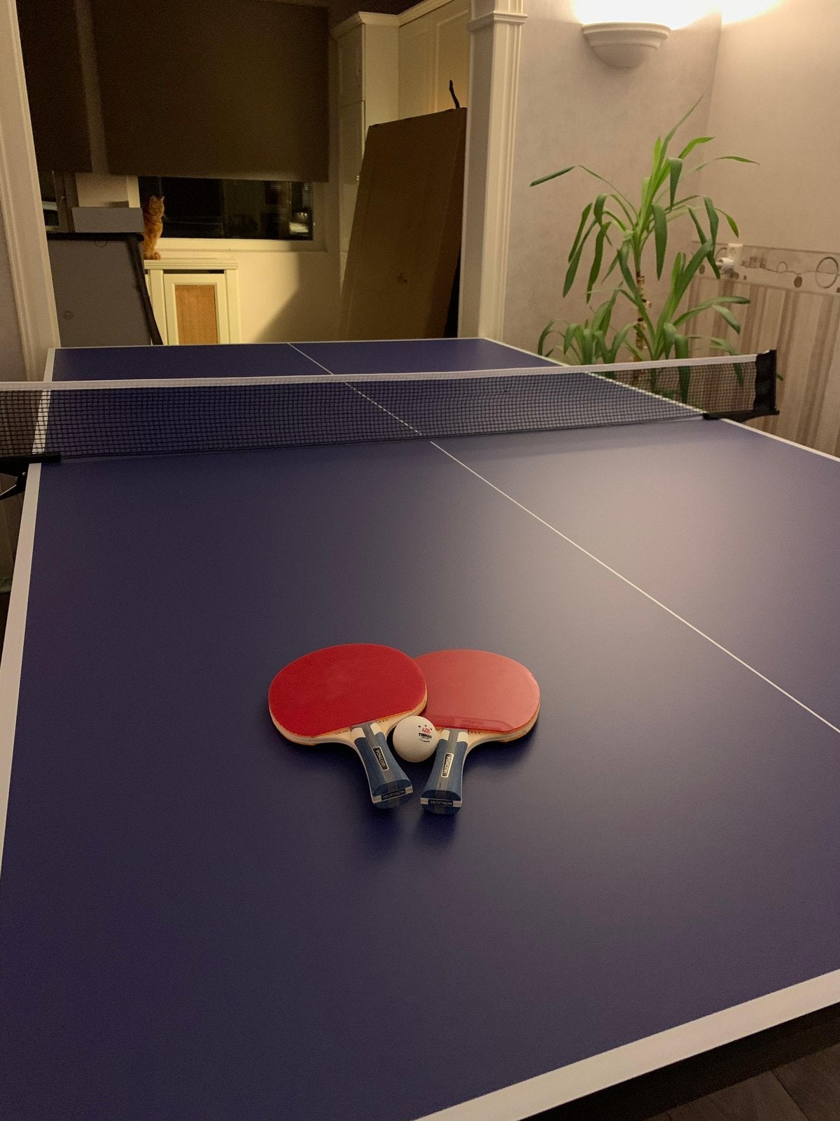 Tafeltennistafel + robot + 150 balletjes + scorebord, Ophalen, Zo goed als nieuw, Tafel Indoor