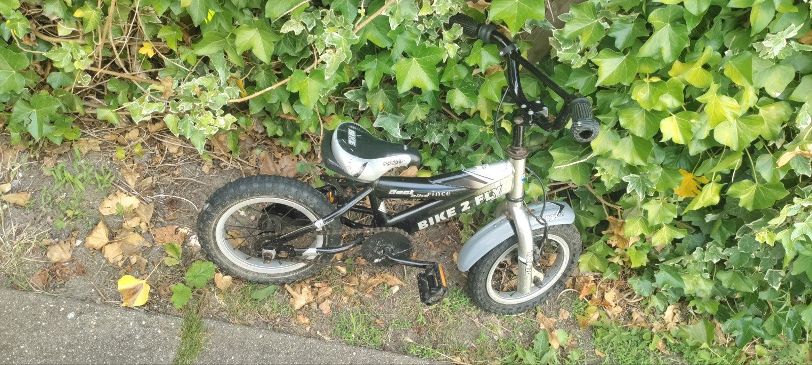 Kinderfiets Bike 2 Fly - Zwart/Zilver, Ophalen of Verzenden