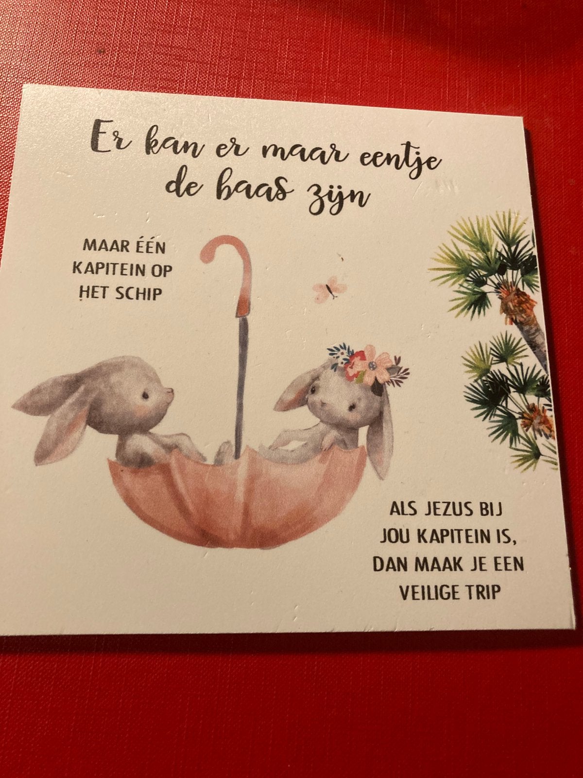Mooi plaatje, Ophalen of Verzenden