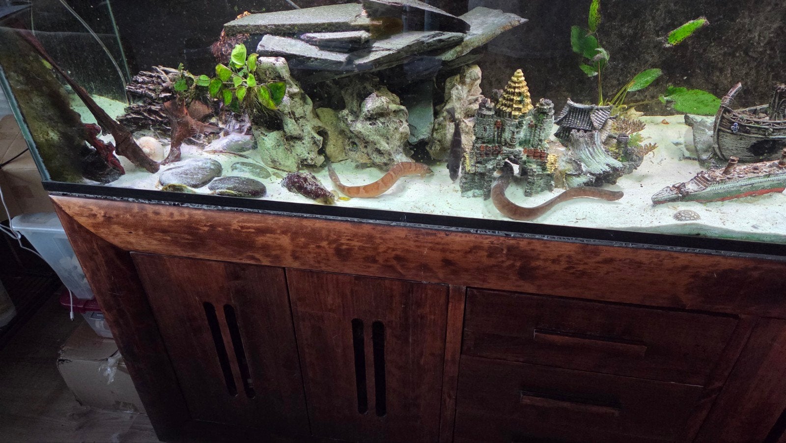 compleet aquarium 200 x 60 x 60 cm, Ophalen, Gebruikt, Gevuld zoetwateraquarium