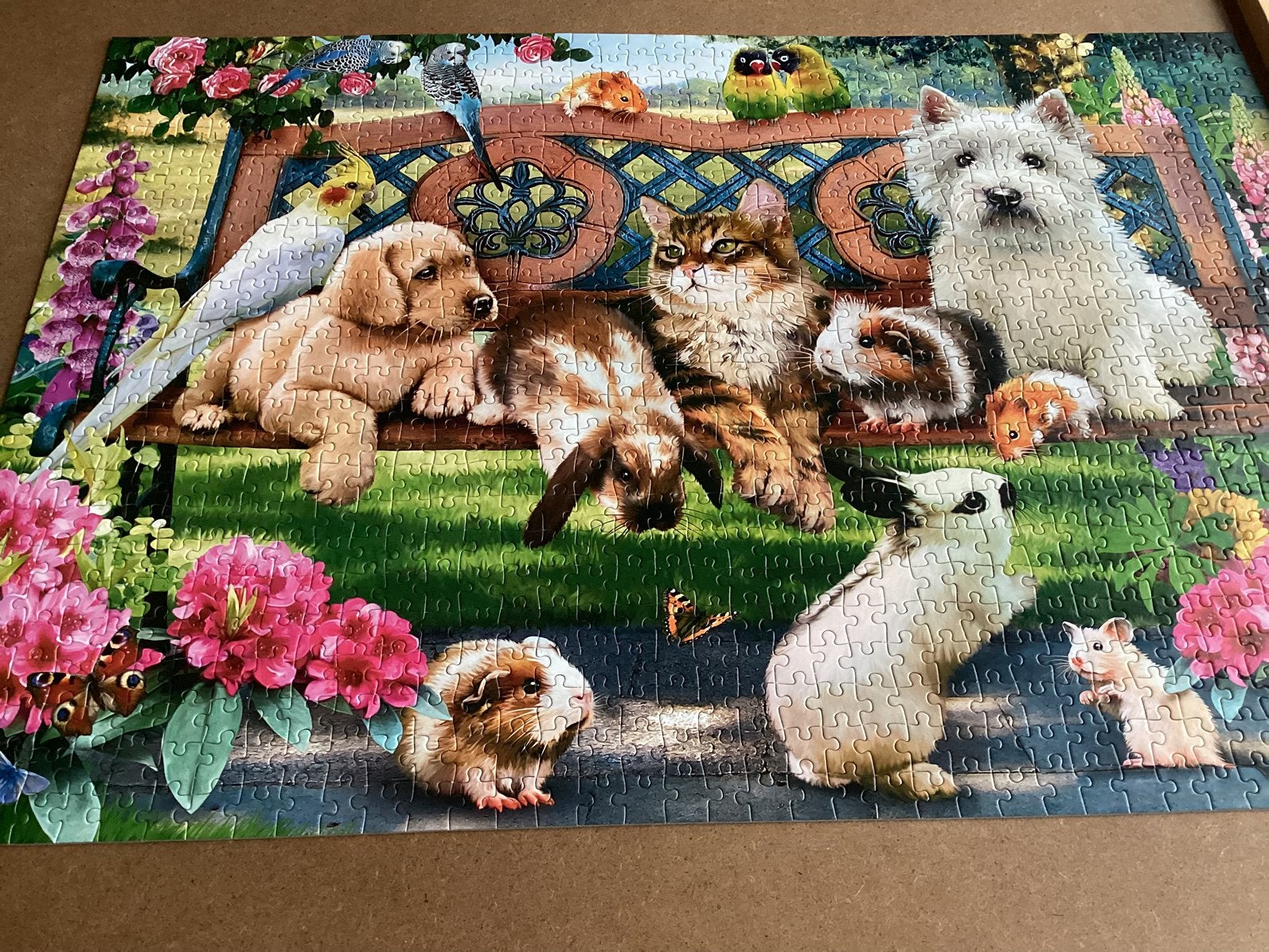 Castorland puzzel 1000 Pets in the Park, Ophalen of Verzenden, 500 t/m 1500 stukjes, Zo goed als nieuw, Legpuzzel