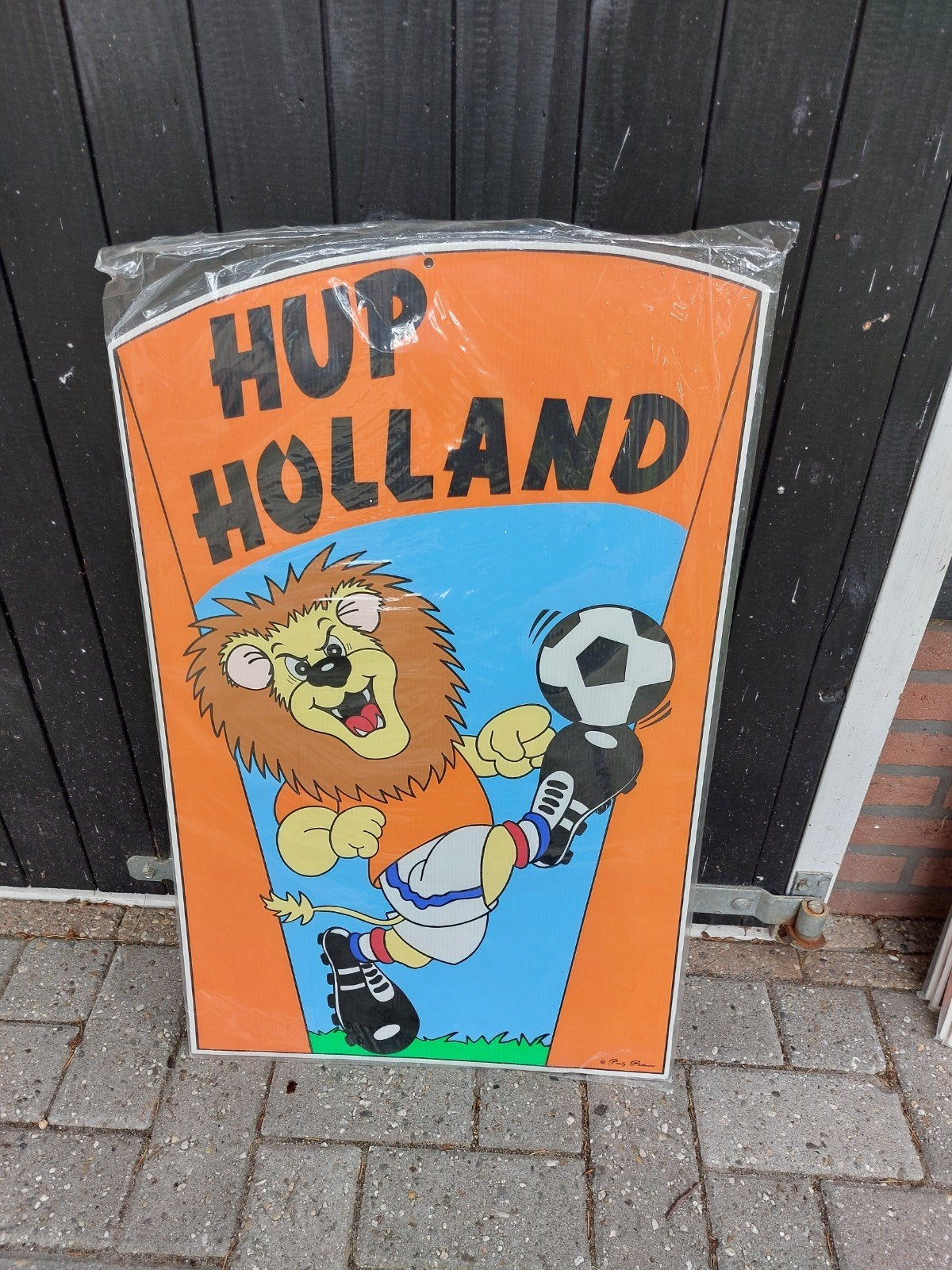 Hup holland voetbal decoratie bord, Ophalen of Verzenden, Overige typen