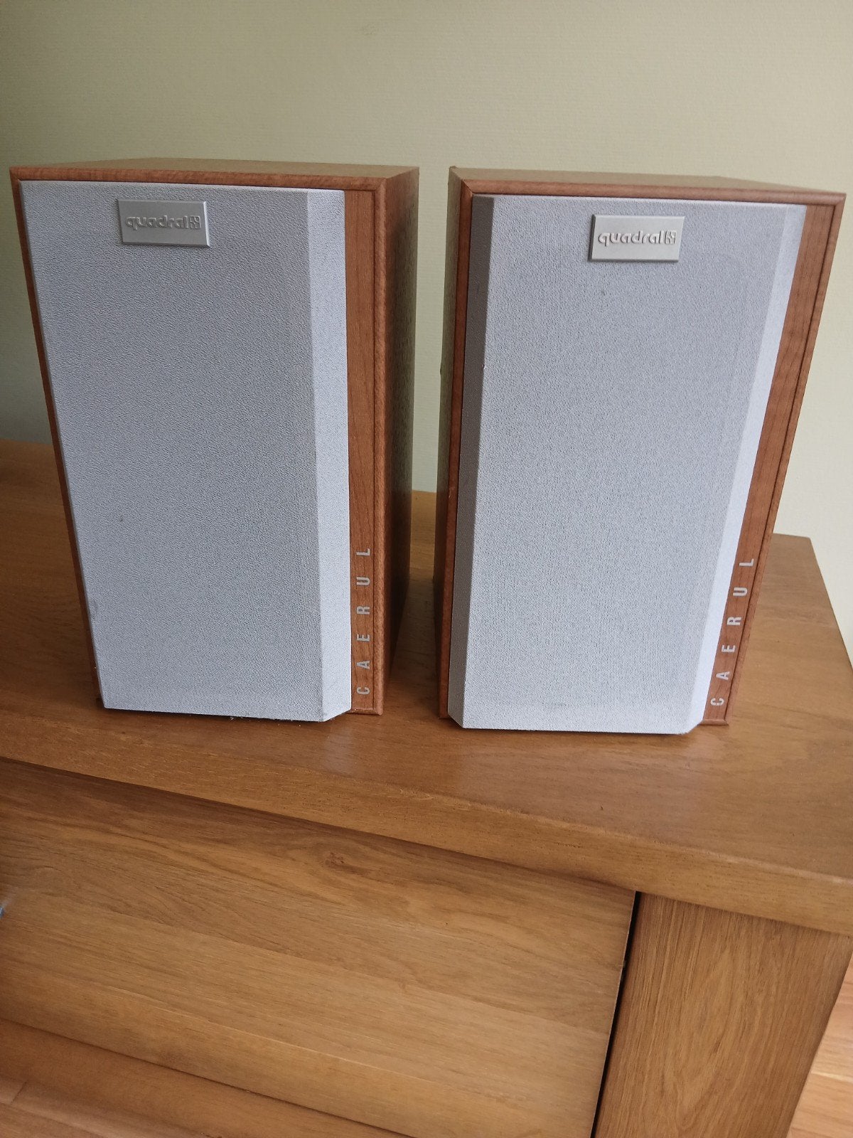 Muziek geluidsboxen QLX-100 quadral caerul line, Gebruikt, 120 watt of meer, Front, Rear of Stereo speakers, Ophalen