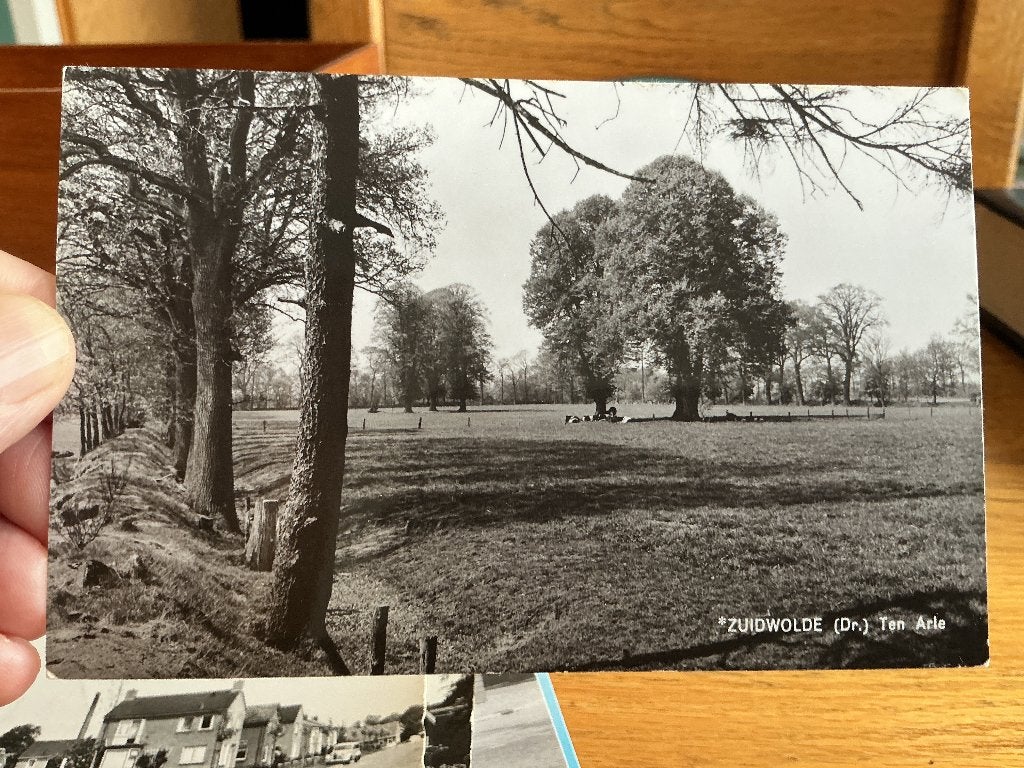Zuidwolde ten arle(ten arlo), Verzenden, 1960 tot 1980, Ongelopen, Drenthe
