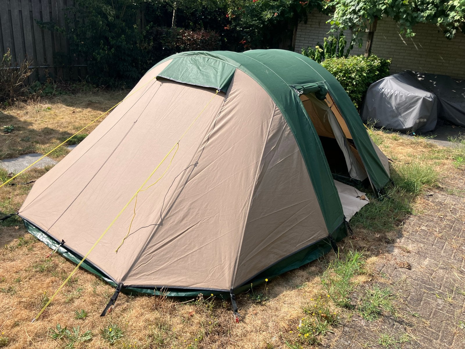 Falco Buizerd 2 (mini)tunneltent, Caravans en Kamperen, Ophalen of Verzenden, Gebruikt, Tot en met 2