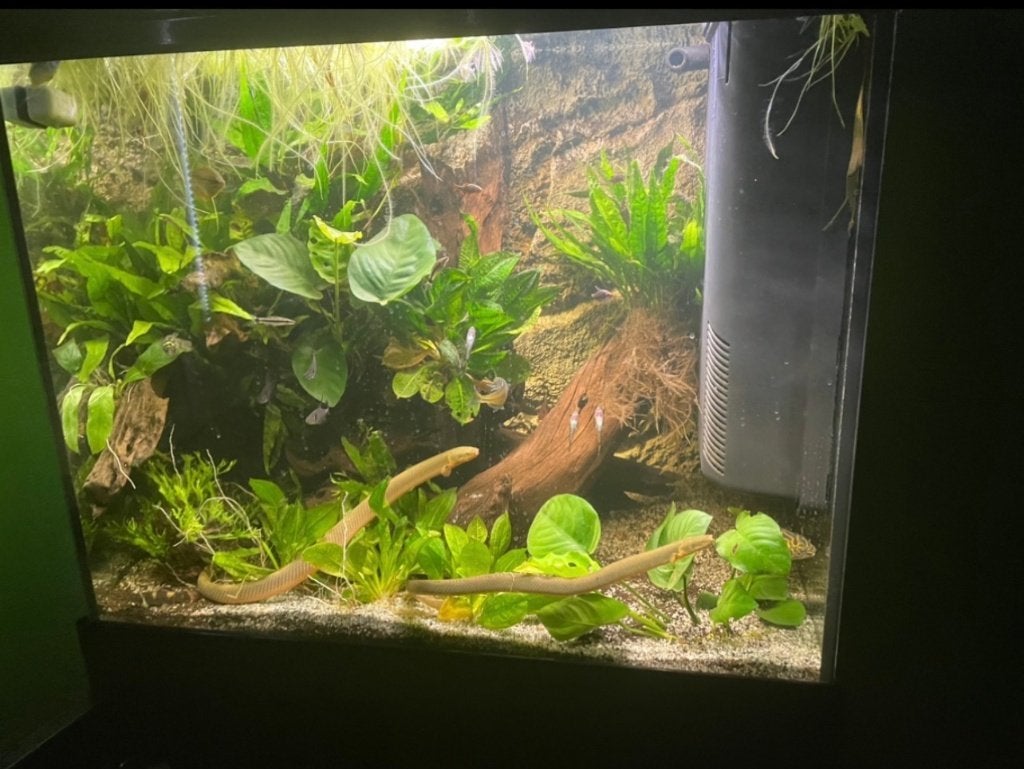 Compleet Aquatlantis Aquarium 110 Incl Meubel, Ophalen, Aquatlantis, Zo goed als nieuw, Leeg aquarium
