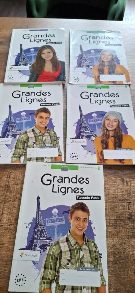 Grandes Lignes 5e ed vwo 4 cahiers d'activités, Boeken, Ophalen of Verzenden, Zo goed als nieuw, Overige niveaus, Nederlands