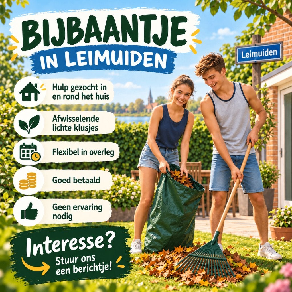 (bij)baan voor scholier / student, Variabele uren, Overige niveaus, Starter, Overige vormen