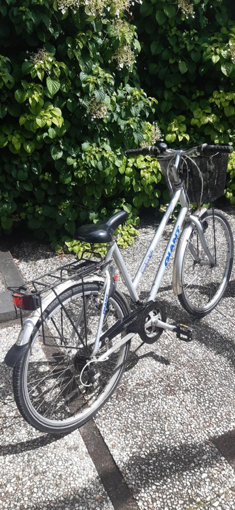 Giant meidenfiets - Boulder City., Ophalen, Gebruikt, 20 inch of meer, Versnellingen