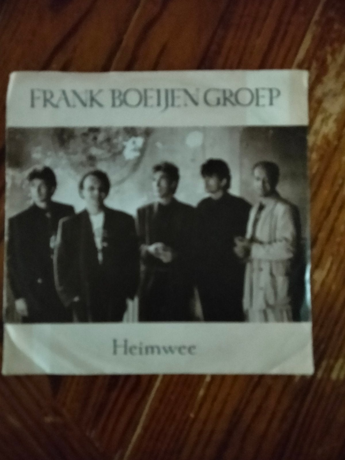 Frank Boeijen groep, Ophalen of Verzenden, Zo goed als nieuw, Overige formaten, Pop