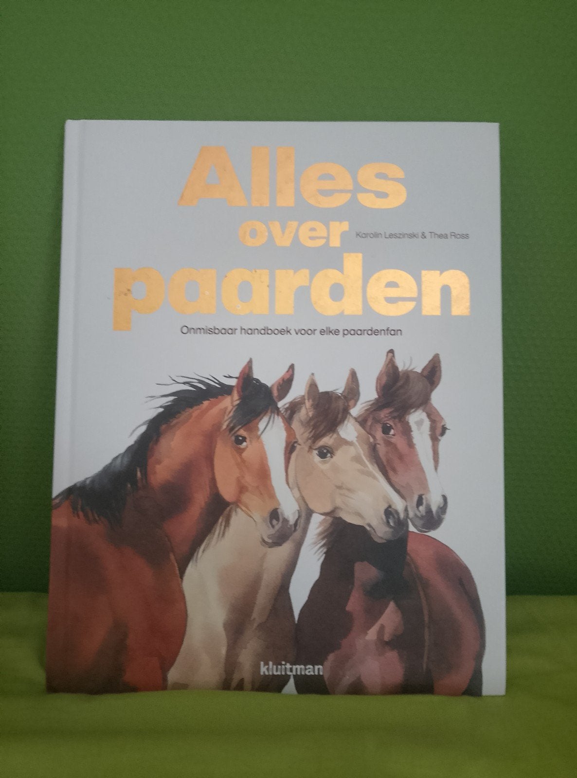 Alles over paarden boek, Non-fictie, Zo goed als nieuw, Karolin Leszinski, Ophalen of Verzenden
