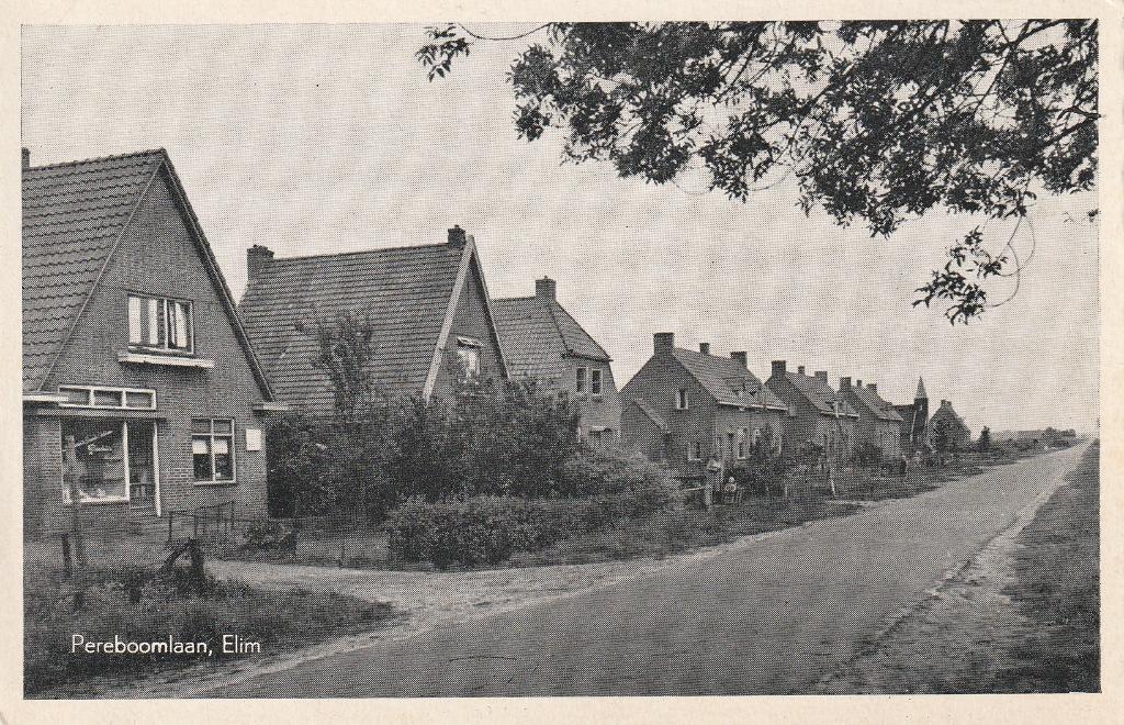 Elim, Verzamelen, Ansichtkaarten | Nederland, Ophalen of Verzenden, 1920 tot 1940, Ongelopen, Drenthe