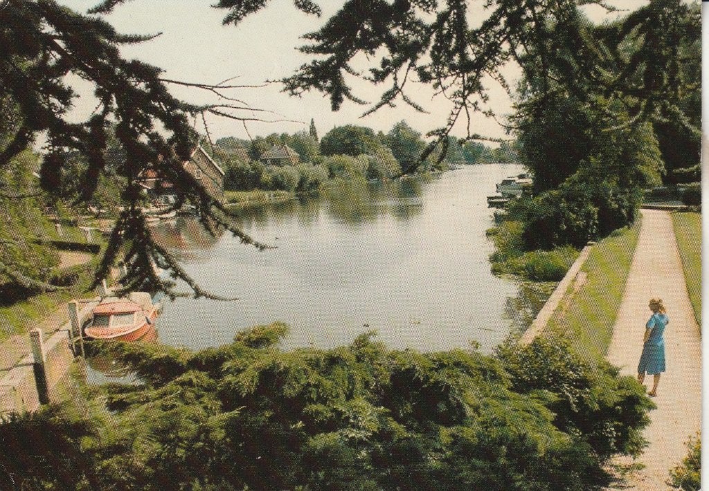 Alblasserdam, De Alblas - Vintage Ansichtkaart, Ophalen of Verzenden, 1960 tot 1980, Ongelopen, Zuid-Holland