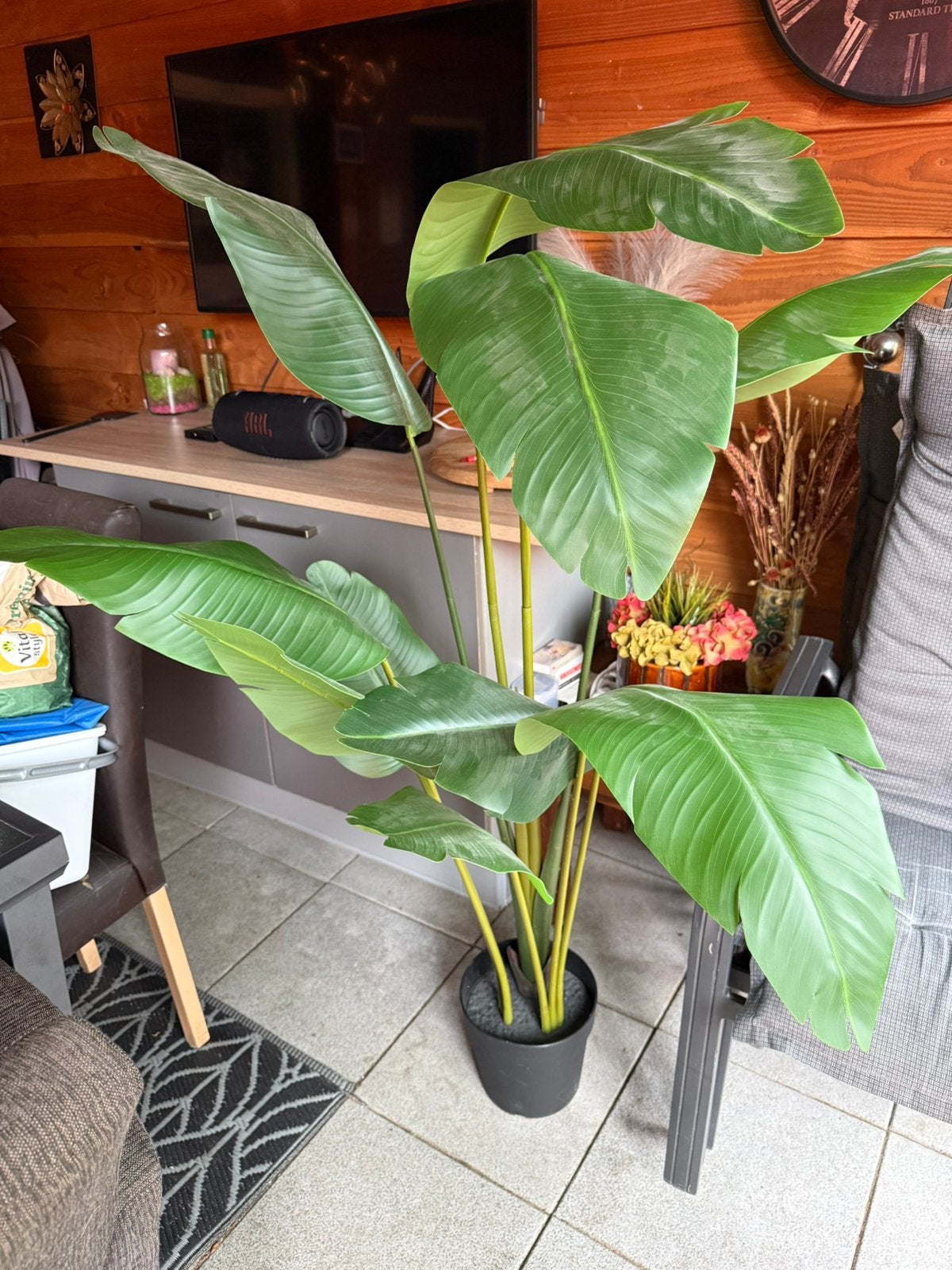 IKEA FEJKA Grote Kunstplant 180cm, Binnen, Groen, Onderhoudsvrij, Kunstplant