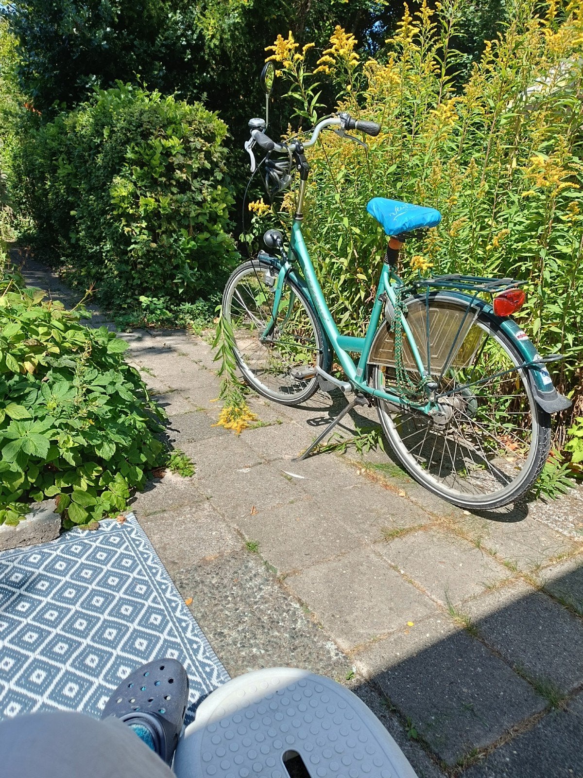 Gazelle damesfiets, Ophalen, Gebruikt, Overige typen, 80 kg of meer