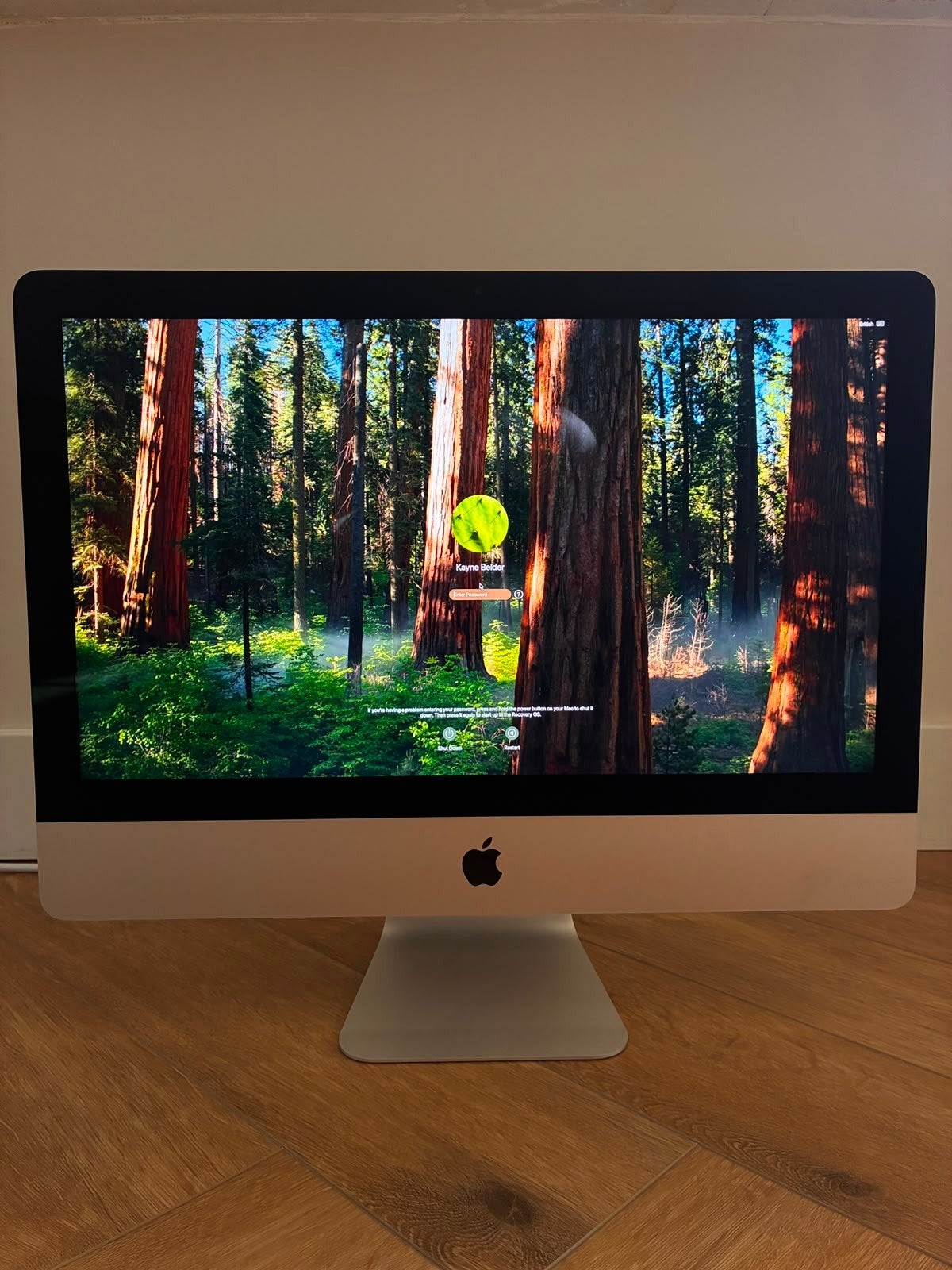 Apple iMac Retina 4K 21,5-inch (2019), Ophalen, IMac, SSD, 3 tot 4 Ghz