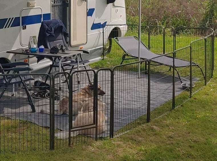 Honden ren., Ophalen, 110 cm of meer