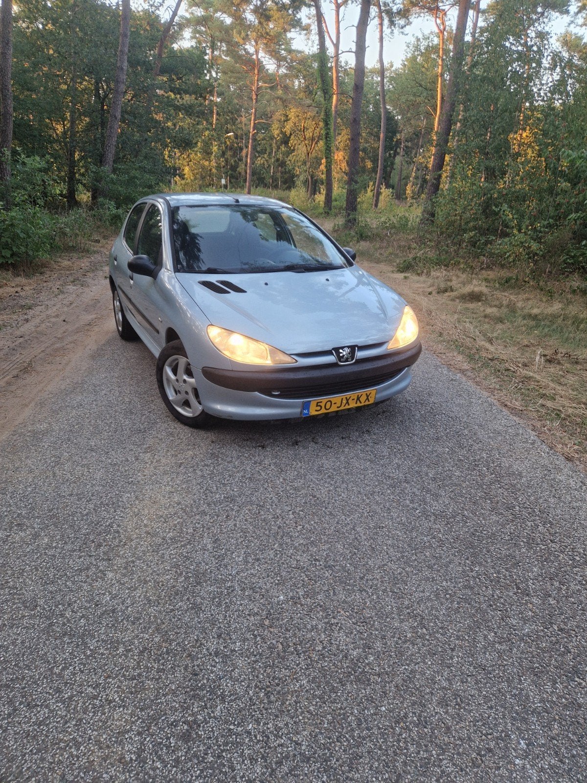 Peugeot 206 1.4 5D 2002 Grijs, Voorwielaandrijving, 31 €/maand, 4 cilinders, Origineel Nederlands
