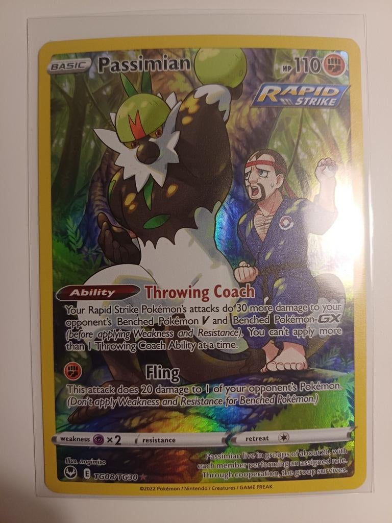TG Passimian, Ophalen of Verzenden, Zo goed als nieuw, Losse kaart, Foil