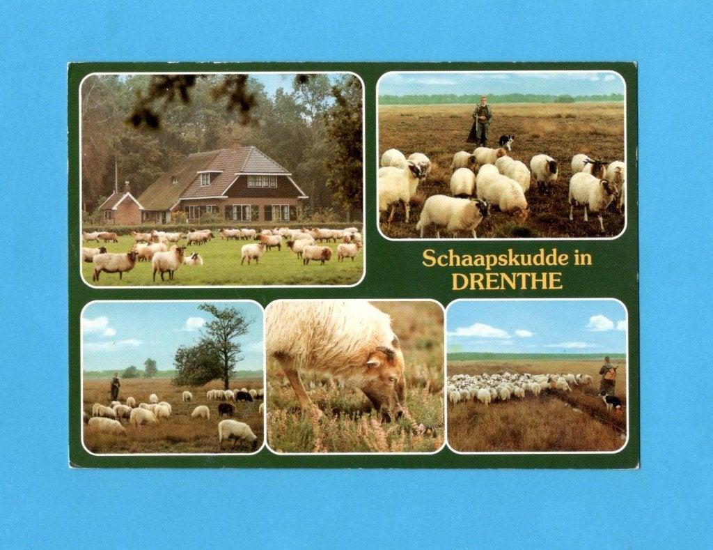Drenthe  Schaapskudde in Drenthe. (Waar in Drenthe ?), Verzenden, 1980 tot heden, Gelopen, Drenthe