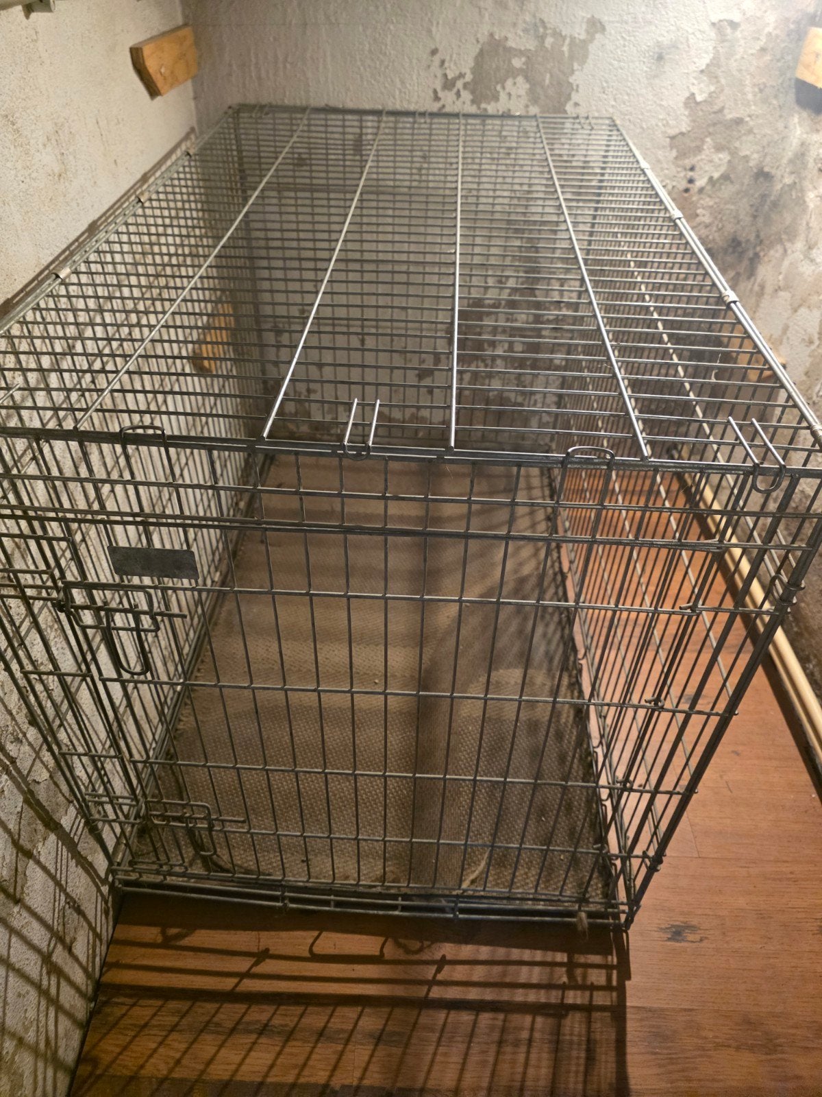 bench voor grote honden, Dieren en Toebehoren, Ophalen, Zo goed als nieuw