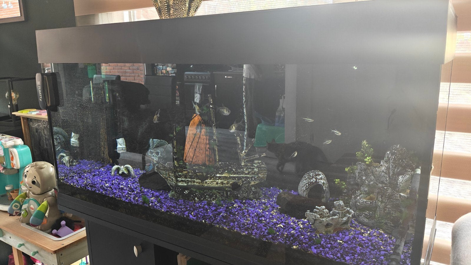 aquarium met meubel, Dieren en Toebehoren, Ophalen, Gebruikt, Overige merken, Gevuld zoetwateraquarium