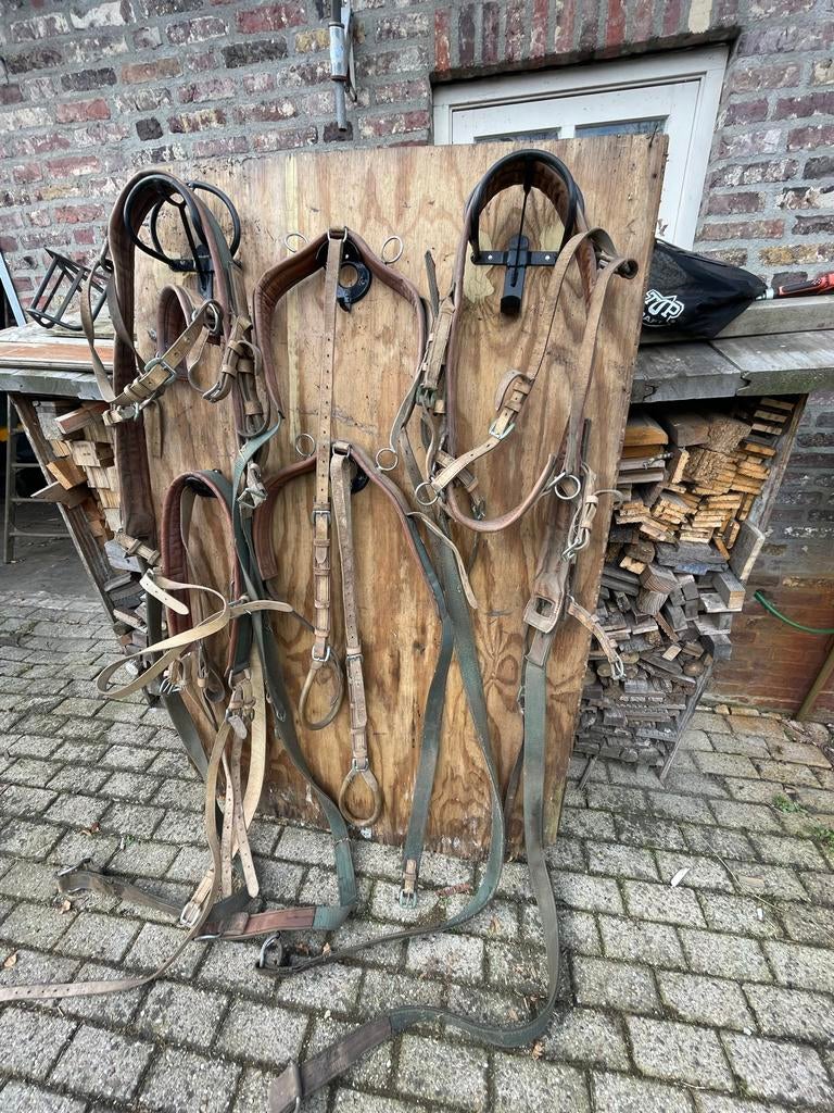 Oefen tuig voor dubbel en enkelspan, Ophalen of Verzenden, Gebruikt, Overige soorten