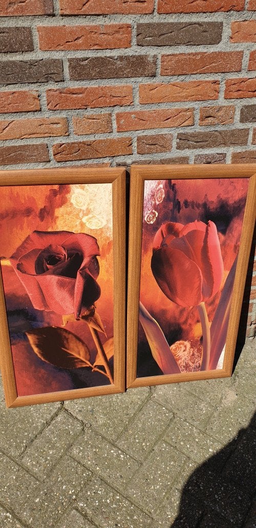 prenten roos, Ophalen of Verzenden, 'T Olde Gre-j, Info@toldegrej.nl, Endepoelstraat 20f Didam