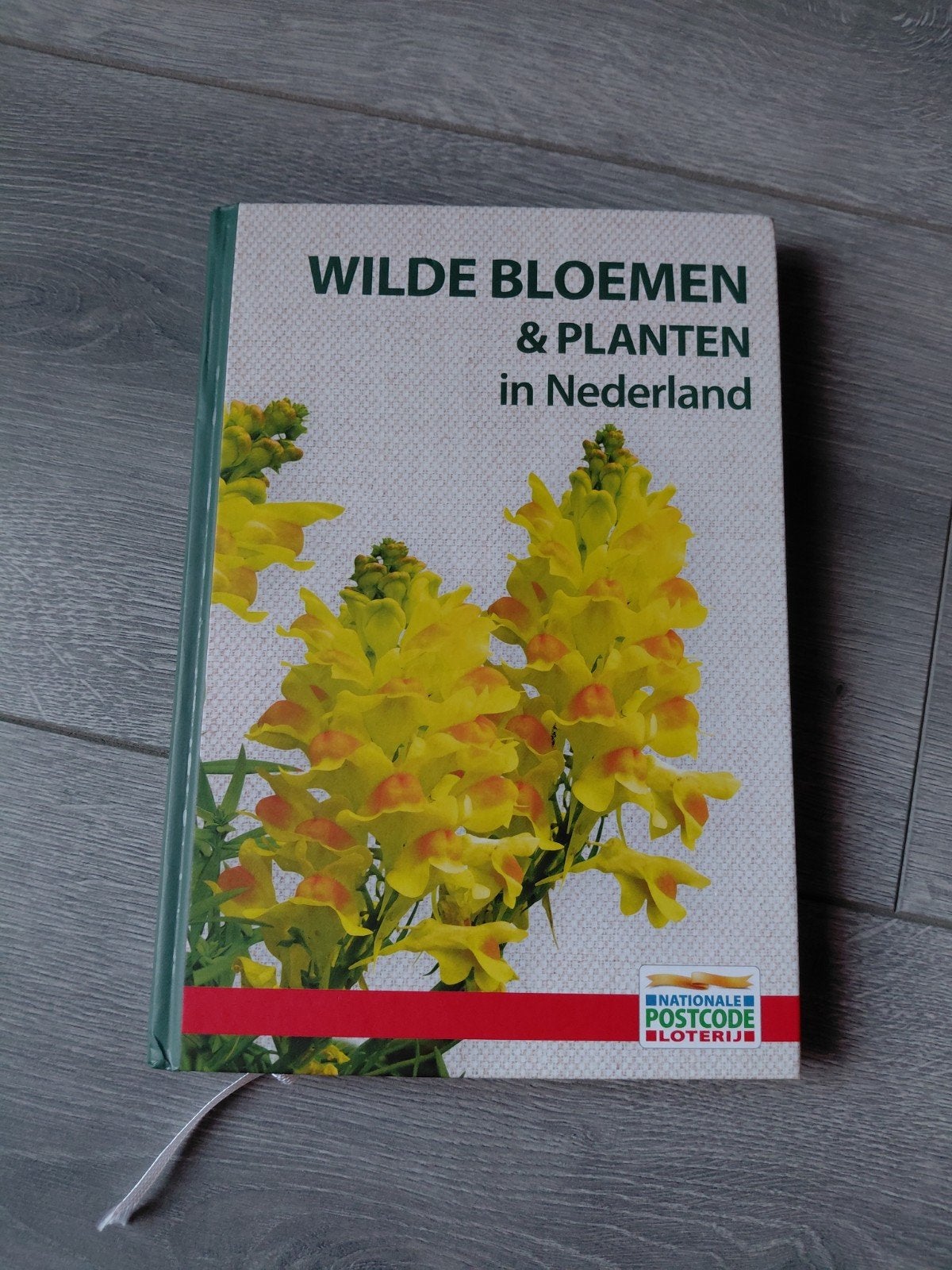 Wilde bloemen & Planten in Nederland, Ophalen of Verzenden, Nieuw, Bloemen, Planten en Bomen
