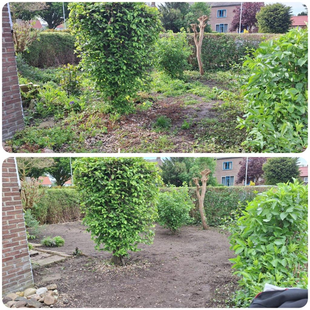 Tuinonderhoud snel en netjes, Diensten en Vakmensen