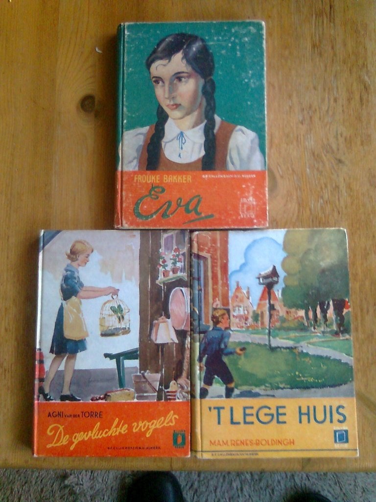 Eva,  en andere boeken uit de Zilver-serie, Ophalen of Verzenden, Gelezen
