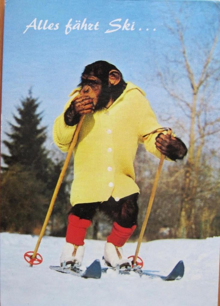 Aap Charlie op de ski - 1983 - Oostenrijk, Verzenden, 1980 tot heden, Gelopen, Wild dier