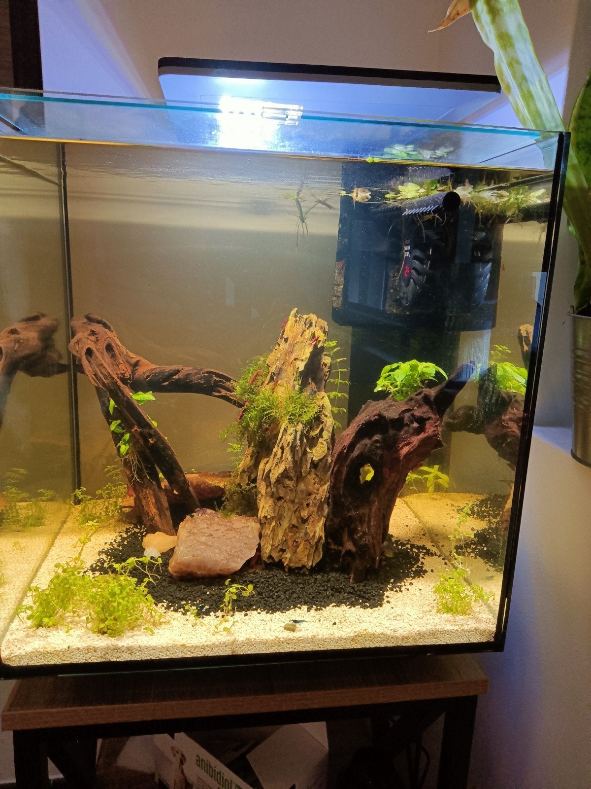 Aquarium, superfish QubiQ 60l., Ophalen of Verzenden, Zo goed als nieuw, Leeg aquarium
