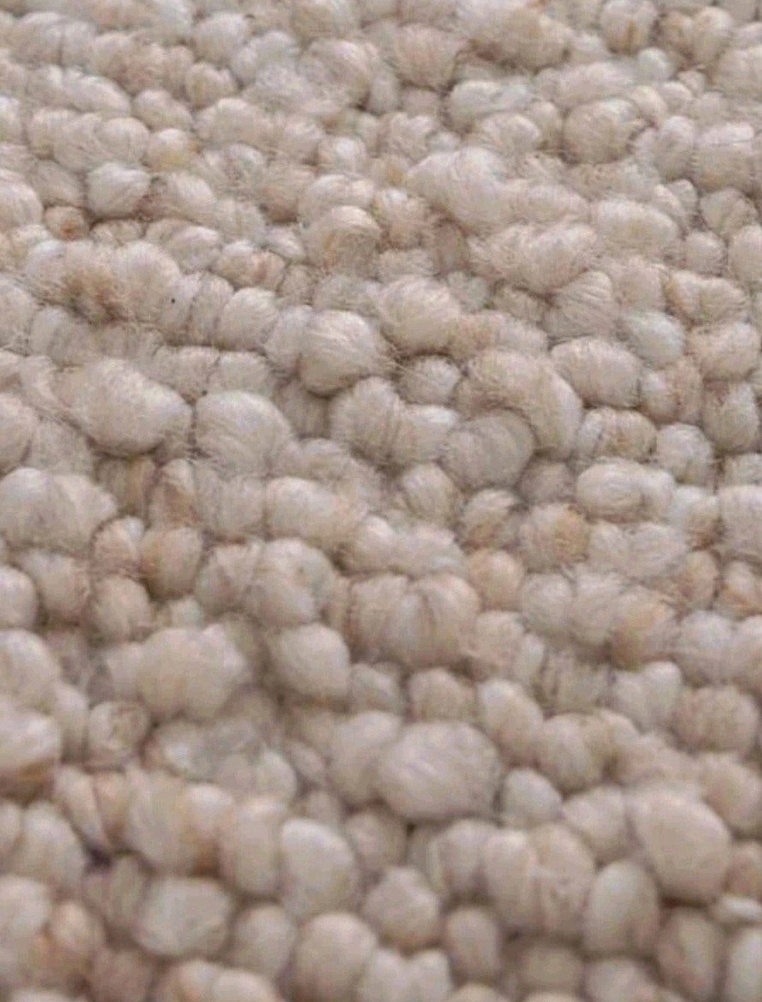 XXL VLOERKLEED 240X350 kost elders €399 nu €299, Ophalen, 200 cm of meer, Rechthoekig, Nieuw