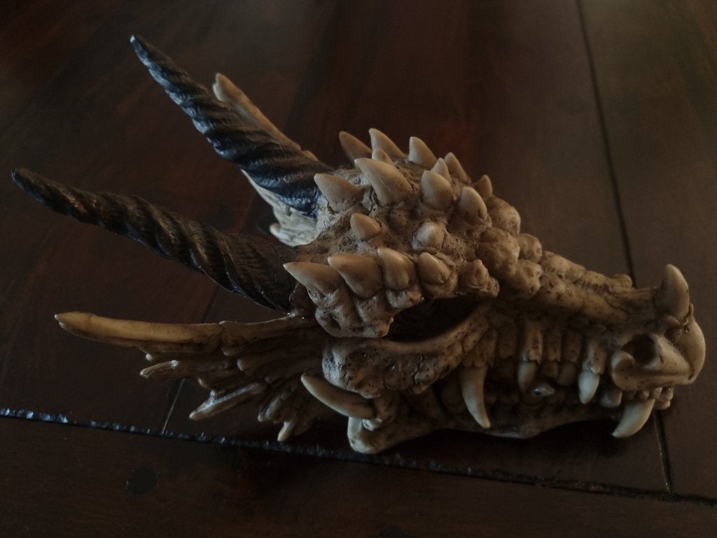 Drakenschedel – Spaarpot (Dragon Skull Money Box), Grijs, Ophalen of Verzenden, Reliëf, China