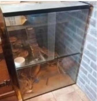 Hoog Gerbillarium kooi hok 60 x 80 terrarium +GRATIS spullen, Kooi, Gebruikt, Muis, 75 tot 110 cm