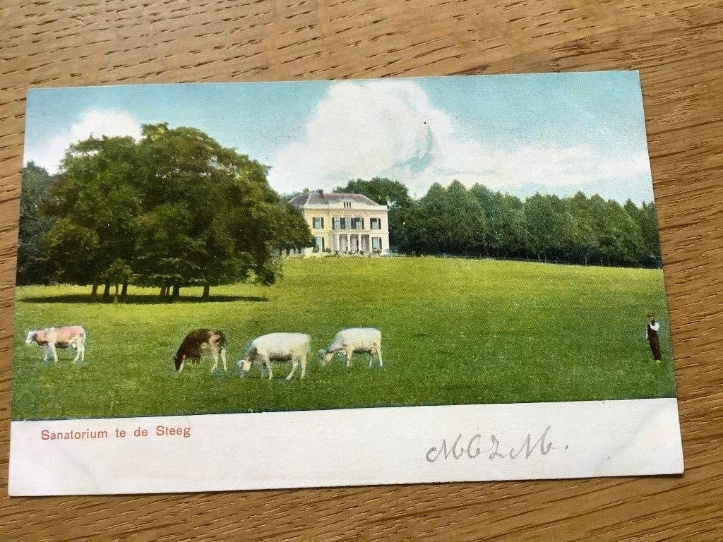De Steeg, sanatorium, Ophalen of Verzenden, Voor 1920, Gelderland