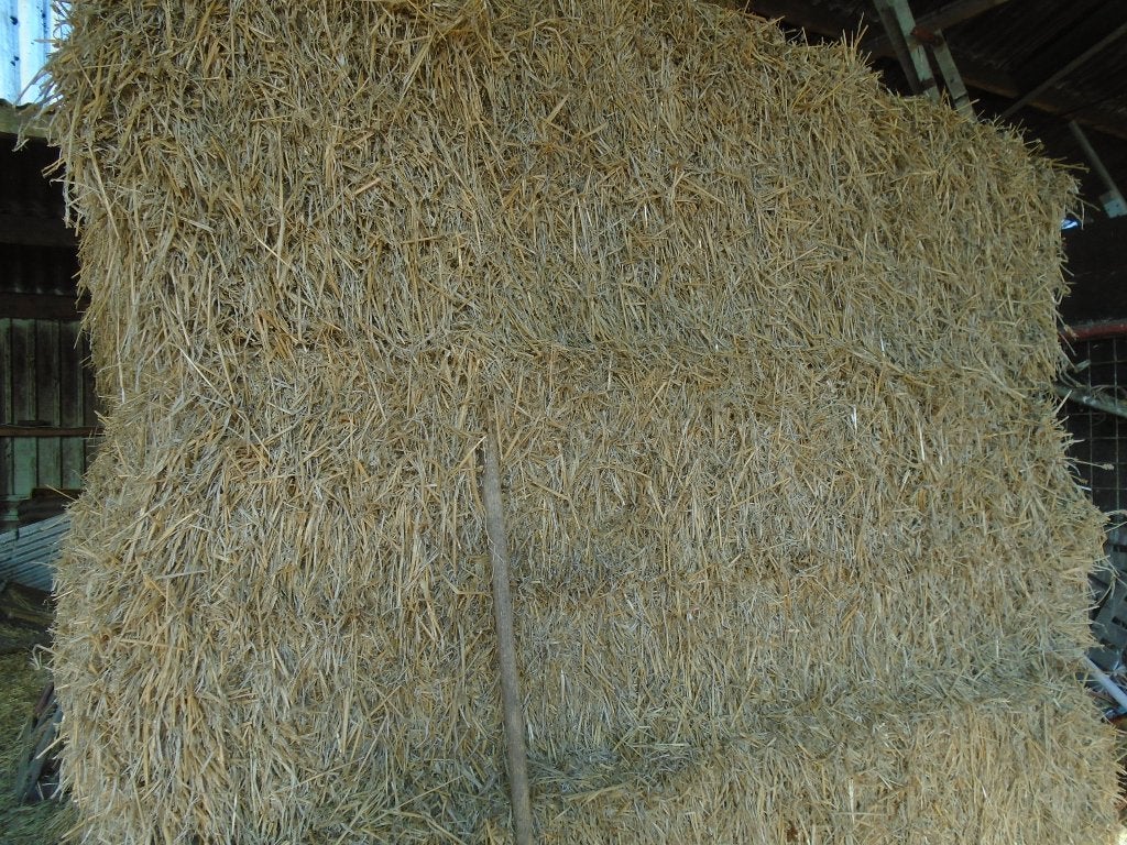 Grote balen gesneden stro, Dieren en Toebehoren, Ophalen of Verzenden, Vee