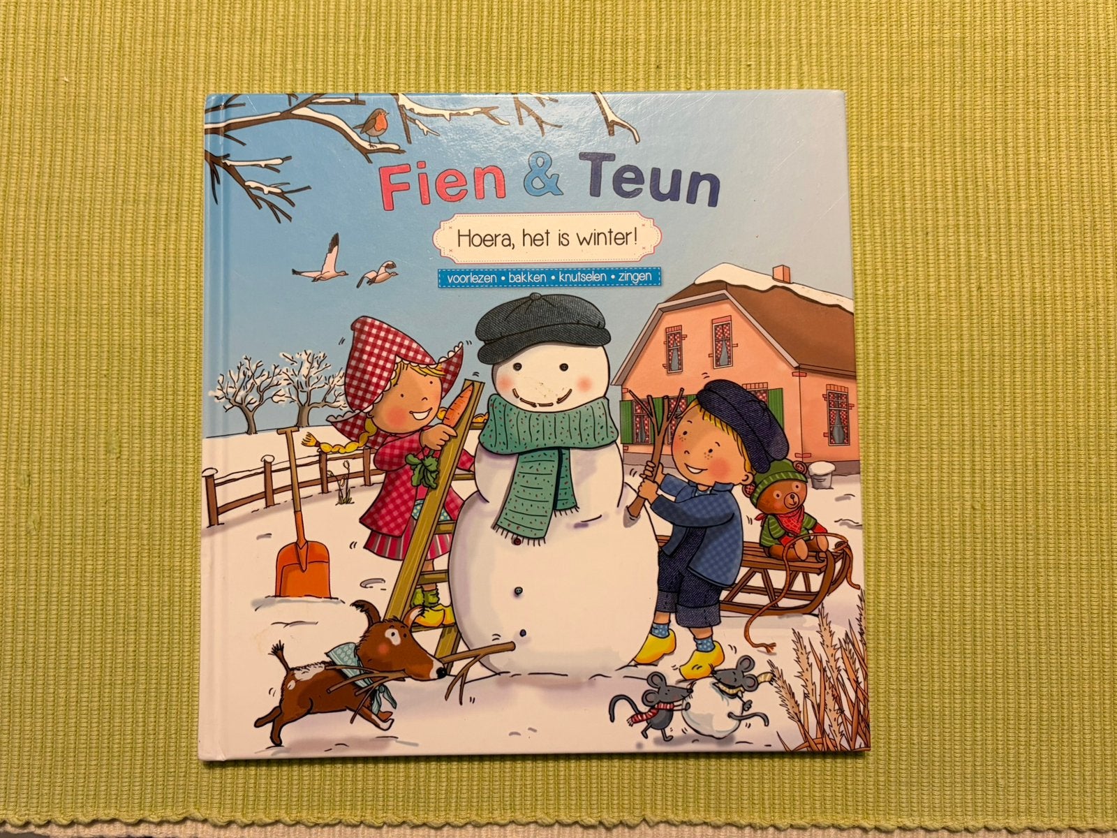 Fien & Teun , Hoera het is winter, Ophalen of Verzenden, Gelezen, Fictie algemeen