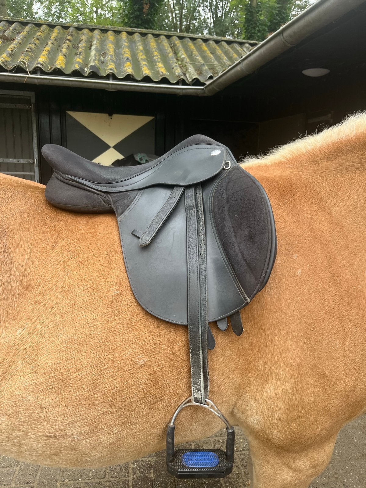 Thorowgood Veelzijdigheid Zadel 17,5 Inch, incl toebehoren, Dieren en Toebehoren, Ophalen, L (17.5 inch), Gebruikt, Thorowgood