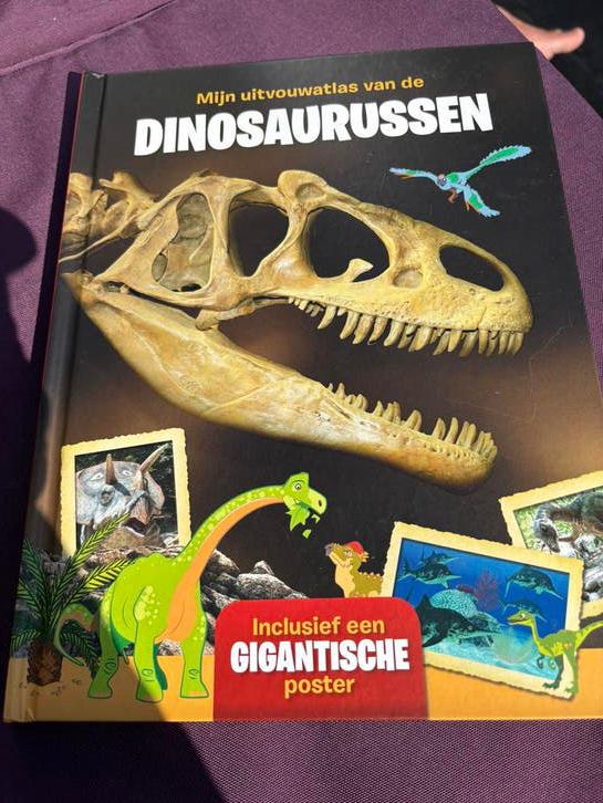 Informatief jeugboek over Dinosaurussen, Ophalen of Verzenden, Zo goed als nieuw, Non-fictie