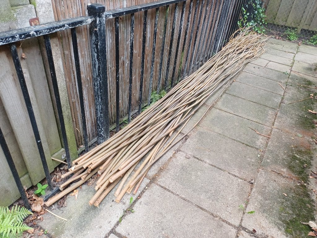 Wilgentenen, Ophalen, Nieuw, Hout, 3 tot 6 meter